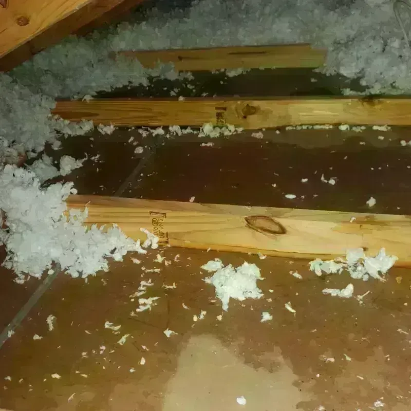 Attic Water Damage in Hingham, MA